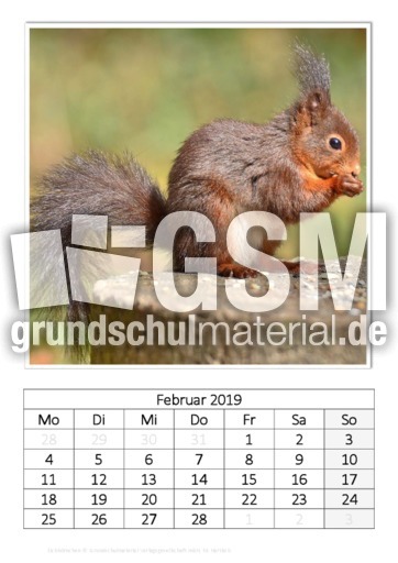 Februar_Eichhörnchen_2.pdf